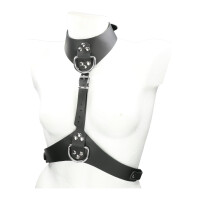 Harness aus Leder mit D-Ringen - robust